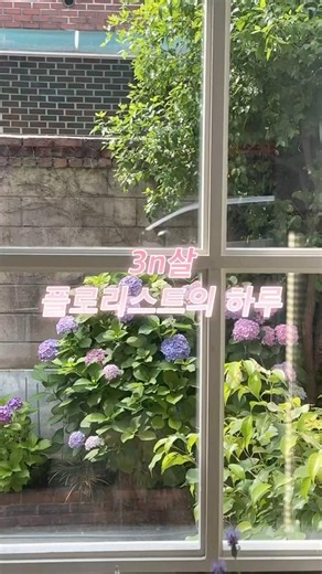 플로리스트의 일상🍃 #꽃집vlog #꽃집 #florist #flowers #flowerarrangement #꽃집창업 #플라워클래스 #원데이클래스 #핸드타이드클래스 #일상
