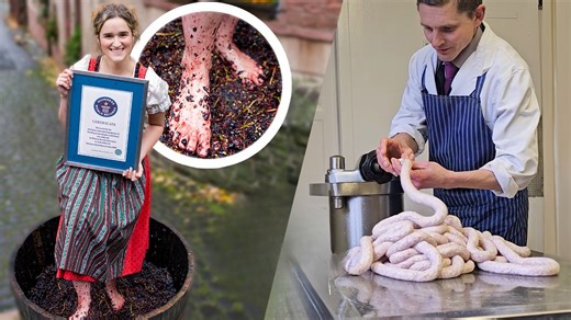 96K views · 1.3K reactions | From lightning-speed cucumber chopping to record-breaking assembly lines, watch these professionals redefine 'quick' on the job! 勞 | Guinness World Records | Facebook