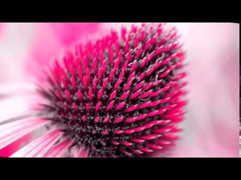 Abraham Esther Hicks- What is a VORTEX?- Explained here!