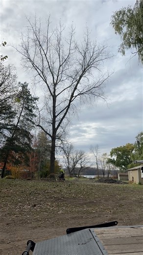 2.5K views · 26 reactions |  #Halloween #treeremoval #treeservice #arborist #TotalControl | Total Control Tree Service | Facebook