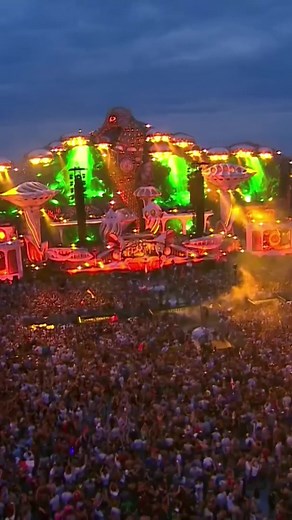 Crowd Control at @Tomorrowland Mainstage! 😱 #edm #electronicmusic #festival #tomorrowland #wandwmusic #wandw #crowdcontrol