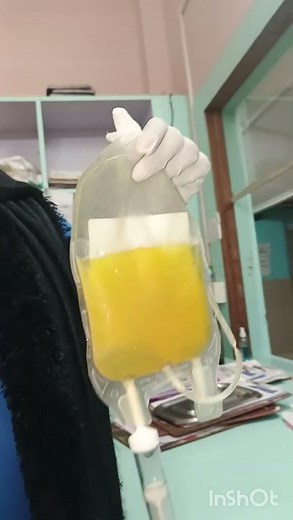 how to transfusion FFP blood💛 ||fresh frozen plasma #hospital #nursinglife #new #ytshorts