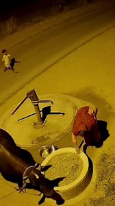 55K views · 6.2K reactions | Wait for end #fypシ゚viralシ #trendingreel #fypシ #reels #foryou #fblifestyle #BMW #Amazing | Wash Room singer | Facebook