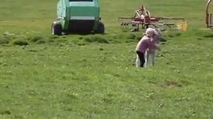 888K views · 4.4K reactions | Share if you think it's beautiful. We think this video from Icelandic summer is beyond beautiful! | Iceland Travel Guide | Facebook