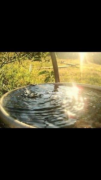 Embracing Inner Beauty: Everyone is Unique