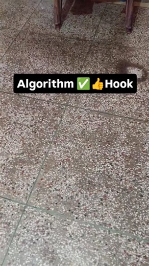 Sunita Neelam on Instagram: "Algorithm ✅👍Hook #shorts #रील्स् #viralvideos #viral"