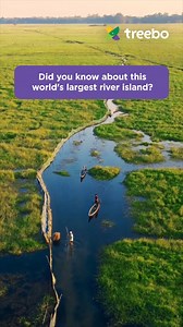 Just 20 kilometers from Jorhat, Majuli offers a captivating experience. It is the world’s largest river island and a culture rich place in Assam. Things to do: - Discover 21 Satras, vibrant hubs of dance, drama, music, and art 🎨 - Cruise the river at dawn to see the beautiful sunrise🌈 - Indulge in bird-watching, local cultivation and weaving 🐦 - Learn about the traditional mask making in Majuli 🎭 #AchaHuaTreeboKiya #TreeboHotels #TravelReels #TravelGram #TravelBlog #TravelMemes #TravelHumour