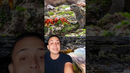 El descubrimiento de los Tepuyes 🇻🇪 #historia #historiasasombrosas #nescritor