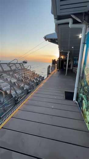 There’s a definite buzz in the air aboard the Reef Magic pontoon ahead of the 2025 Great Barrier Reef coral spawning event !! | Cairns Post