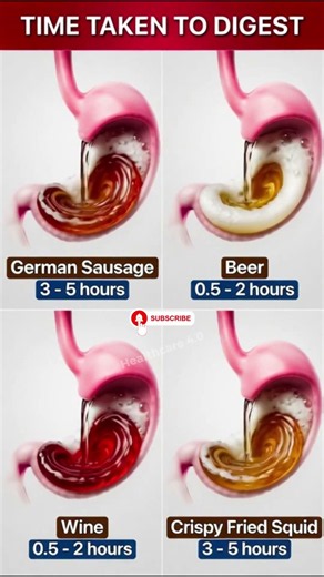 Time taken by different foods to digest #health #nutrition #food #wellness #superfoods