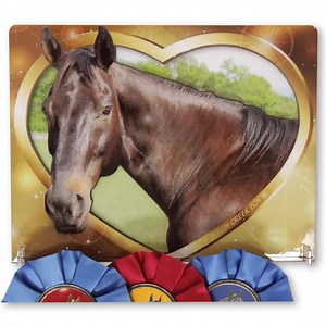 6.9K views · 922 reactions | A BETTER WAY TO DISPLAY YOUR SHOW...