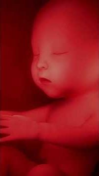 4 tư thế nằm của thai nhi trong bụng mẹ – tư thế nào tốt nhất? #mangthai #bau #coolmom #thainhi