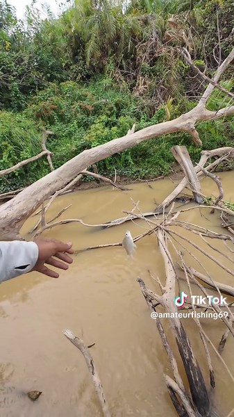 Nyari mbg 1 karung #mancingikan #dailyvlog | ikan lais