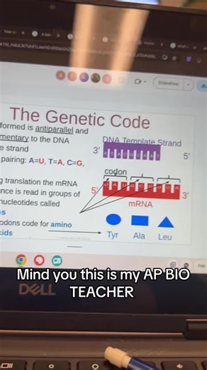 Humorous Moments with My AP Bio Teacher