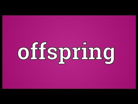Offspring Meaning