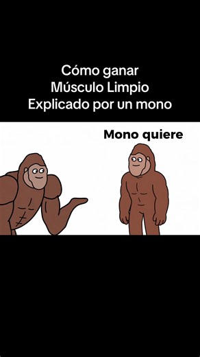 Cómo ganar músculo limpio explicado por un mono #ganarmusculo #musculo #hipertrofia #fitness #explicadopormonos