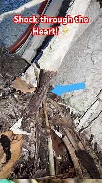 Dangerous ground rod: Corrosion Alert!