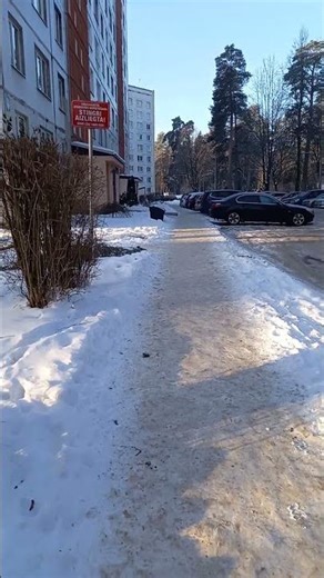 Ogre (20.01.26) #citylife #latvia #winter