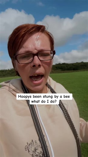 How to Help Your Dog After a Bee Sting