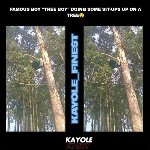 Can you do sit-ups up on a tree? watch out 😲