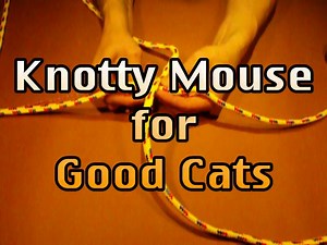 Knotty Mouse Video for Good Cats