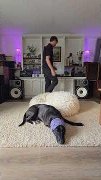 Clean cassette deck each tape change to help prevent the spread of mold. #cassette #audiophile #hifi