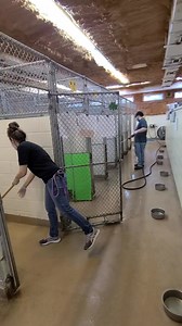 4.6K views · 69 reactions | Humane Society of the Treasure Coast is...