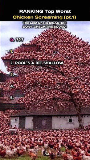 NO LOOKING AT SOUND 👺👺💀💀