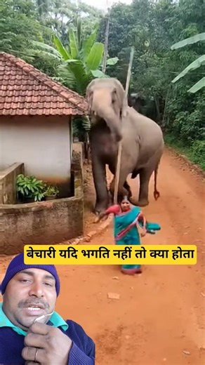 हाथी और बड़े जानवरों से दूरी बनाकर रखें #tiktoktrend