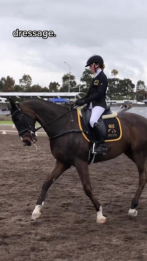 the phase that is impossible to master 😫 #dressage #eventing #equestrian #fyp #trend #viral
