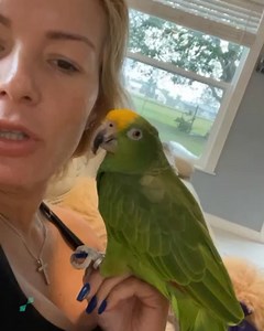 Enjoy our selection of the Top 50 Funniest ever pet dog and cat fails! Can you make it to the end without laughing?! 😹😹😹 | Animal Antics