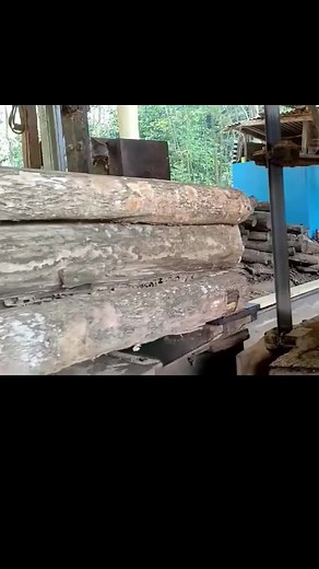 chacocjrleswillard on TikTok