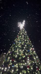 THIS SATURDAY! December 6, noon - 7 p.m. Join us in Downtown Crescent City for HOLIDAY MARKET in Eva Lyon Park! Presented by our Promotions Committee! Vendors will be setup with all sorts of unique items for your shopping pleasure! HOLIDAY PARADE at NOON presented by the City of Crescent City with help from the Rotary Club of Crescent City. Festive performances with live music and a dance recital in the gazebo 4 p.m - 6 p.m. LIGHT UP CRESCENT CITY at dark! Join us for the countdown to the tree l