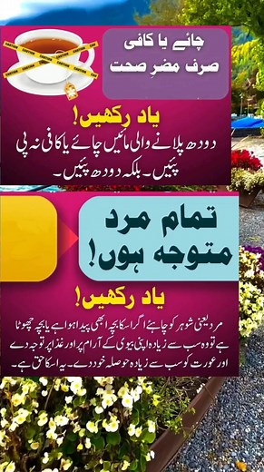 The Flourish on Reels