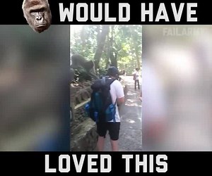 Funny Harambe memes and funny videos