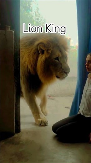 lion King channel YouTube my subscribe 💯💯😈😈
