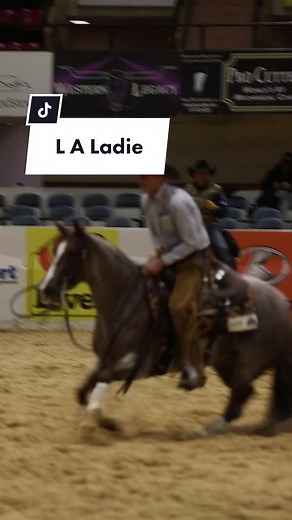 Like a lady! L A LADIE and Tatum Rice during the ‘22 NCHA Futurity! 🔹 #hashtags #stallion #futurity #showhorse #horsesoftiktok