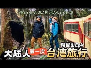 [2024 Taiwan Travel-Alishan] Mainland Couple Free Tour to Alishan, Taiwan