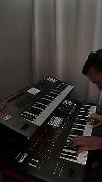 Teclado Roland Fantom EX - Gig Workstation Sintetizador