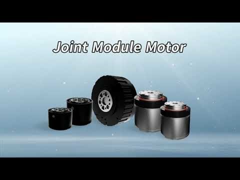 43mm Robot Joint Brushless Planetary Module Motor-Constar
