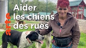 Documentaire | Offrir une nouvelle vie aux animaux maltraités