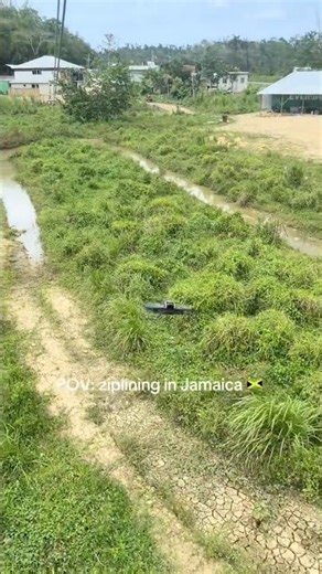 POV: Ziplining in Jamaica 🇯🇲 #zipline #jamaica #travel #adrenaline #life