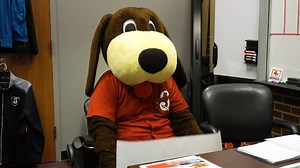 Fetch may not have gotten the job as Groot, but his interview skills are the best in this galaxy. 💫 Defend the Diamond with the Cardinals on Marvel’s Defenders of the Diamond Night TOMORROW Friday, June 16 👉 bit.ly/3OQcp9L | Springfield Cardinals