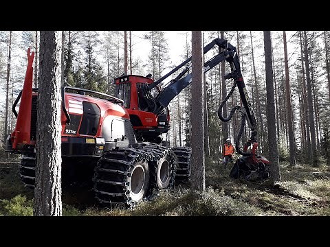 Meet Forest Scorpion, the wood-cutting technology behind Finland's circular bioeconomy