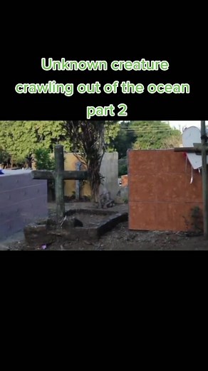 #alien #aliens #ufo #ufoキャッチャー #creature #creepy #scary #foryoupage #foryou #fypシ #4u #fy #viral #SHEINcares #xyzbca #zyxcba #alienbff #area51 #foru