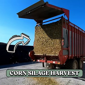 436K views · 4.5K reactions | Corn Silage Harvest 101 | The 10th Generation Dairyman | Facebook