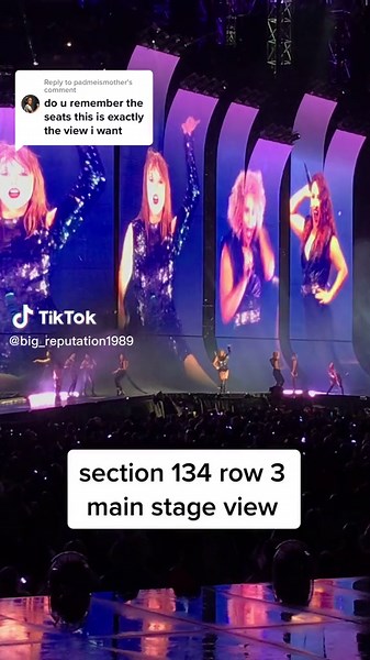 Replying to @padmeismother lower bowl section 134 at metlife stadium #candycrush10 #YellowstoneTV #taylorswifterastour #reputationstadiumtour #swifttok