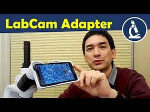 The LabCam iPhone adapter for microscopes