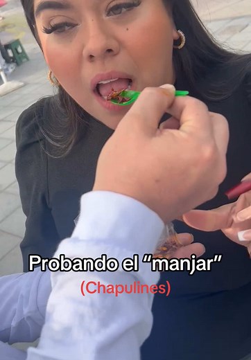 No a los CHAPULINES🚫🤢 #chapulines #tourist #attraction #chapala #travel