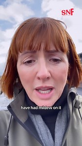 45K views · 725 reactions | Awkward Language Barrier  | She's Not Funny | Facebook